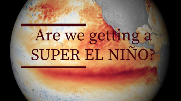 Are we getting a Super El Niño? The Waves of Uncertainty