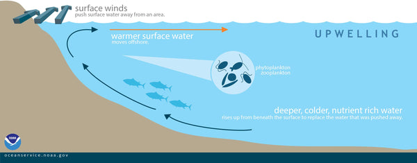 Why The H3LL Is The Water So Cold in SoCal Right Now?